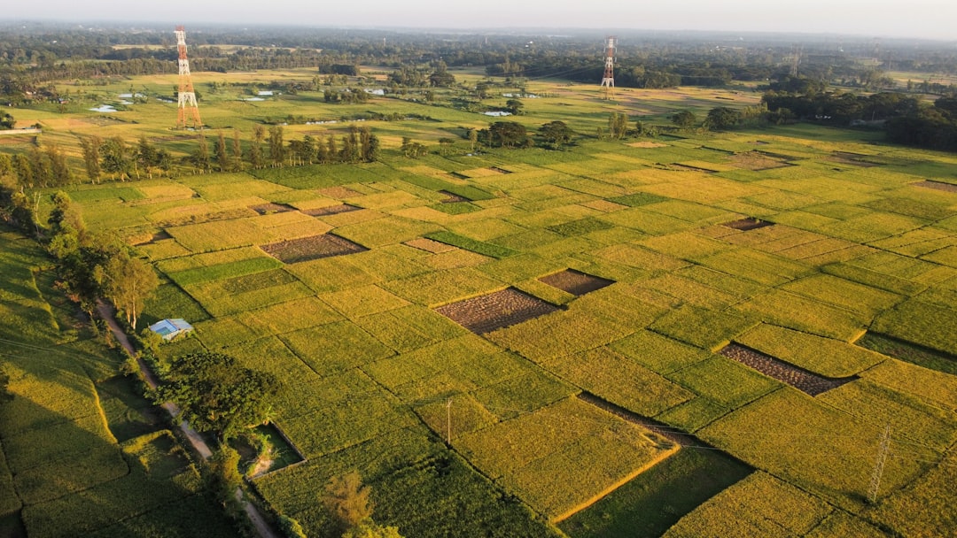 Arsitektur Hybrid Edge–Cloud untuk Pertanian Presisi: Desain, Implementasi, dan Praktik Terbaik